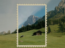 关于我们证书图3